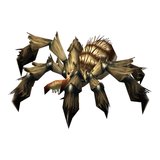 Gretheer, a rare spider