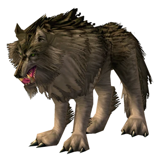 Old Cliff Jumper, a rare wolf