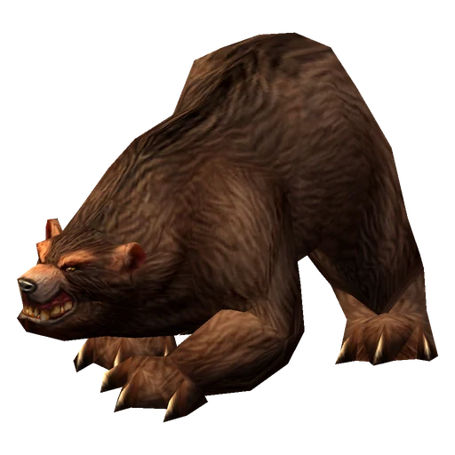 Mongress, a rare bear