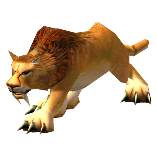 Araga, a rare cat