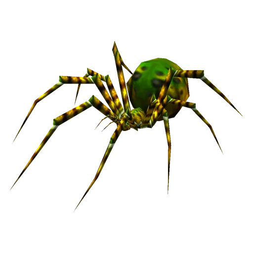 Darkmist Widow, a rare spider