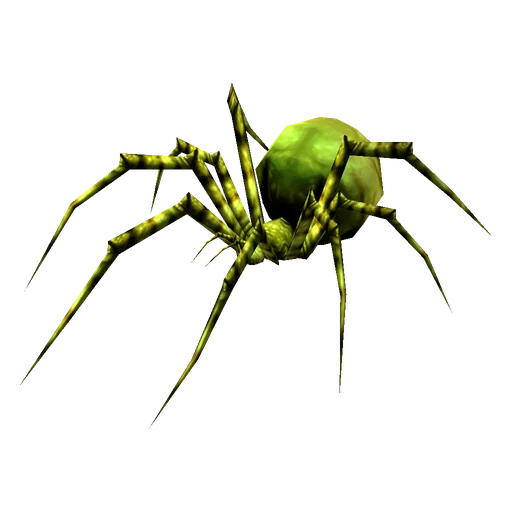 Mother Fang, a rare spider