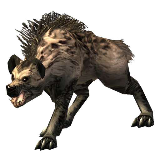 Giggler, a rare hyena