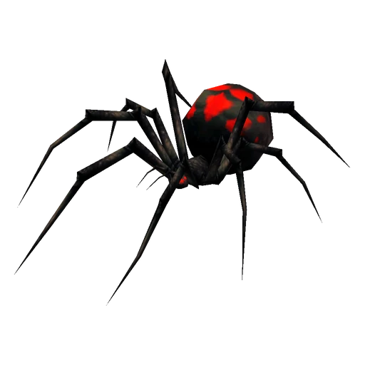Krethis Shadowspinner, a rare spider