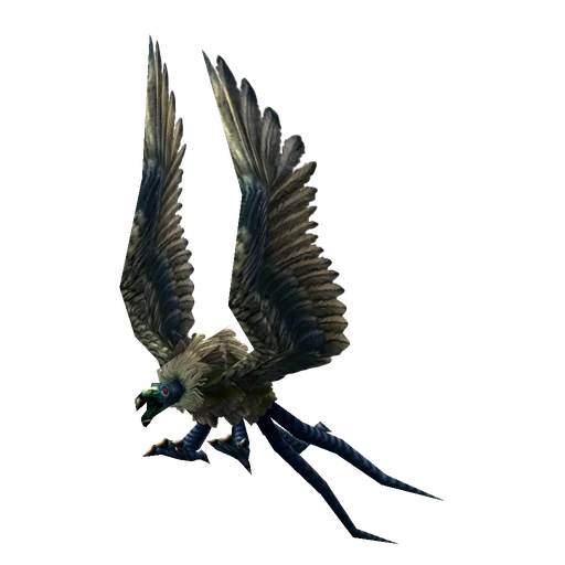 Vultros, a rare carrion bird
