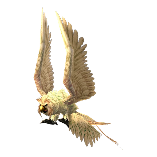 Olm the Wise, a rare bird of prey