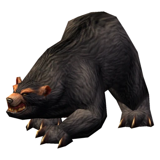 Big Samras, a rare bear