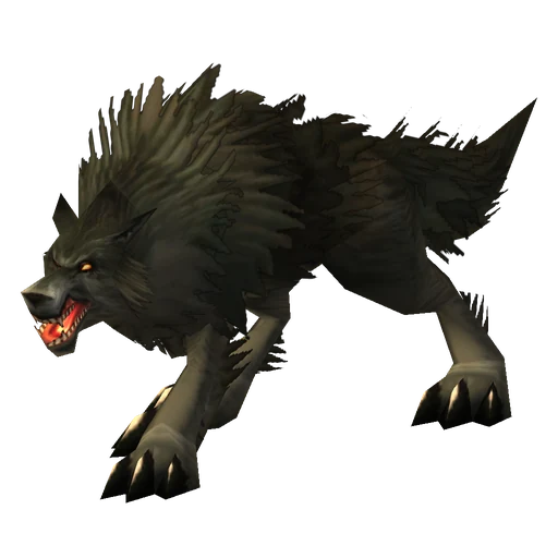 Snarler, a rare wolf