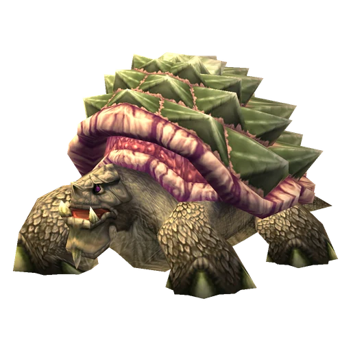 Ironback, a rare turtle