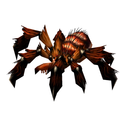 Chatter, a rare spider