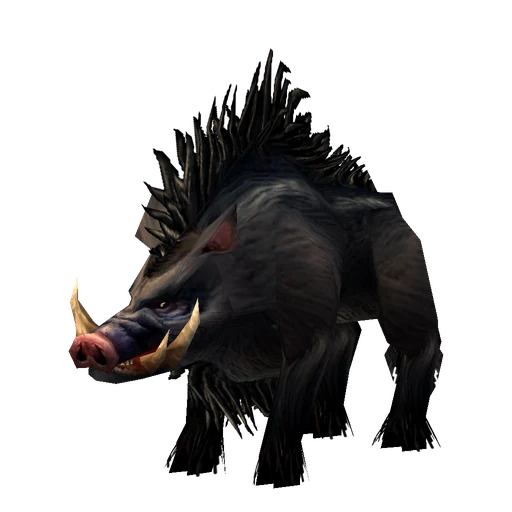 Grunter, a rare boar