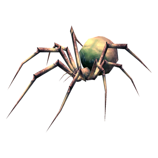Leech Widow, a rare spider