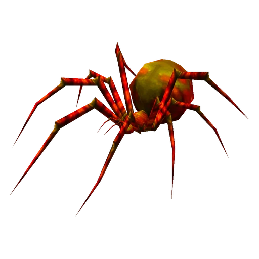Naraxis, a rare spider